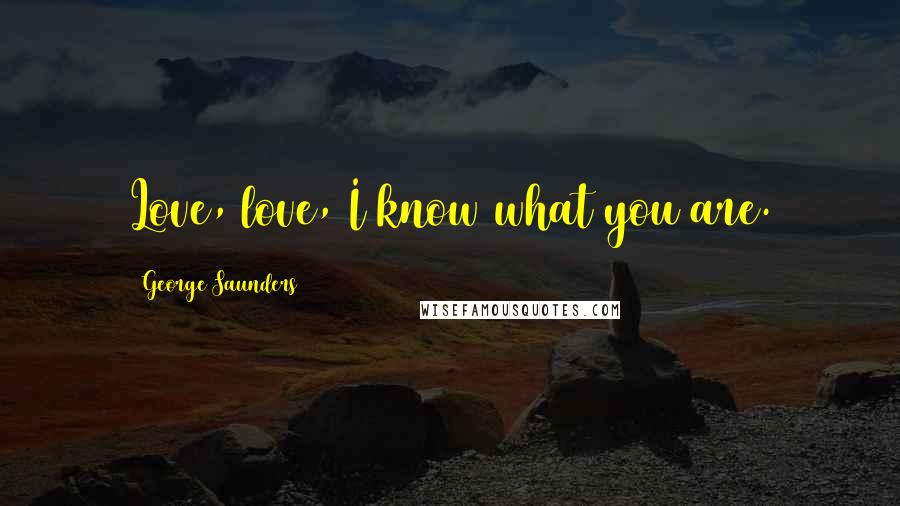 George Saunders Quotes: Love, love, I know what you are.