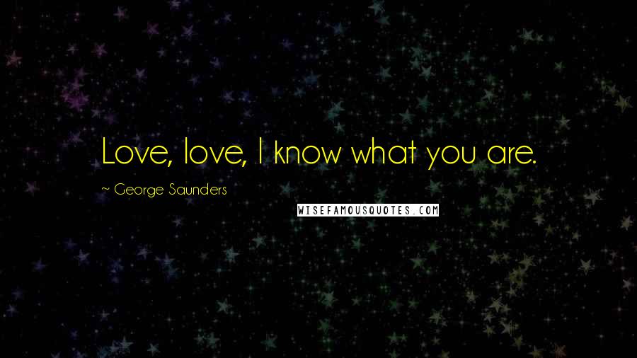 George Saunders Quotes: Love, love, I know what you are.