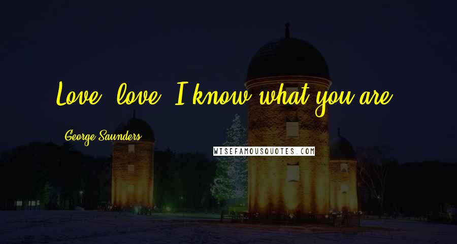 George Saunders Quotes: Love, love, I know what you are.