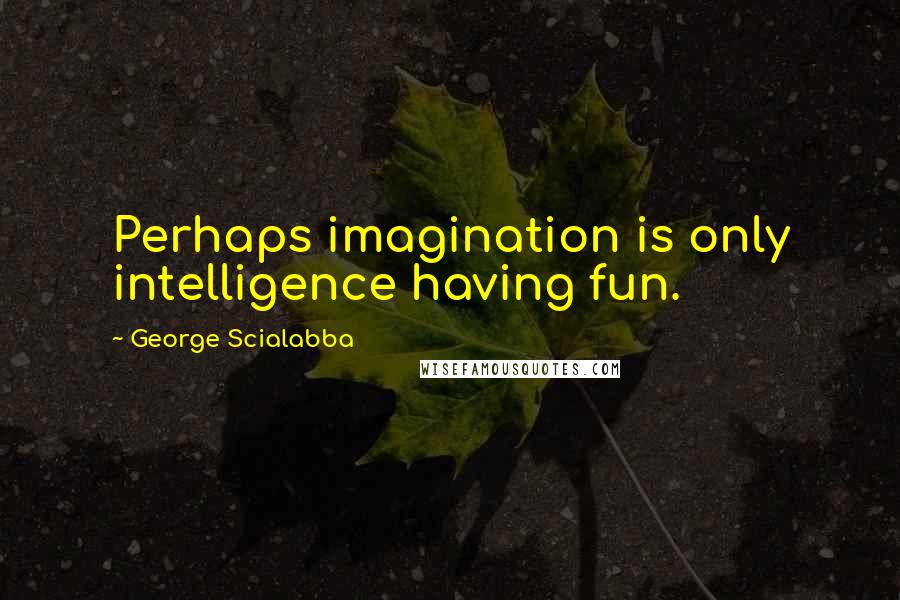 George Scialabba Quotes: Perhaps imagination is only intelligence having fun.