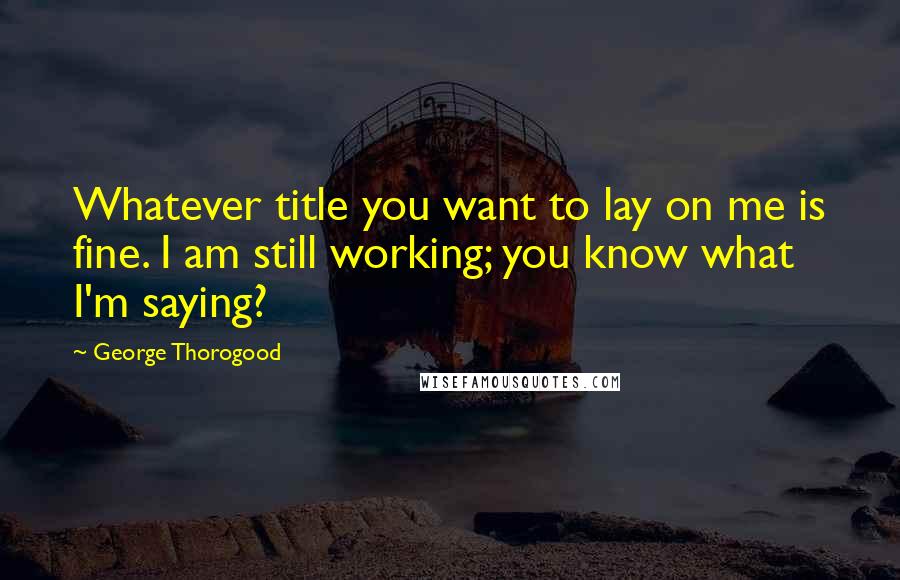 George Thorogood Quotes: Whatever title you want to lay on me is fine. I am still working; you know what I'm saying?