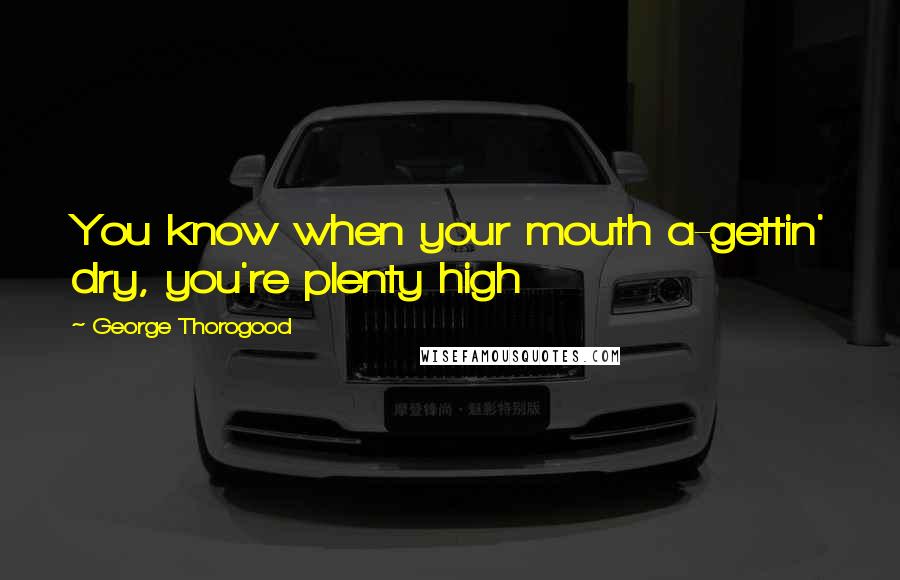 George Thorogood Quotes: You know when your mouth a-gettin' dry, you're plenty high