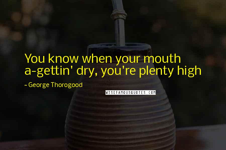 George Thorogood Quotes: You know when your mouth a-gettin' dry, you're plenty high