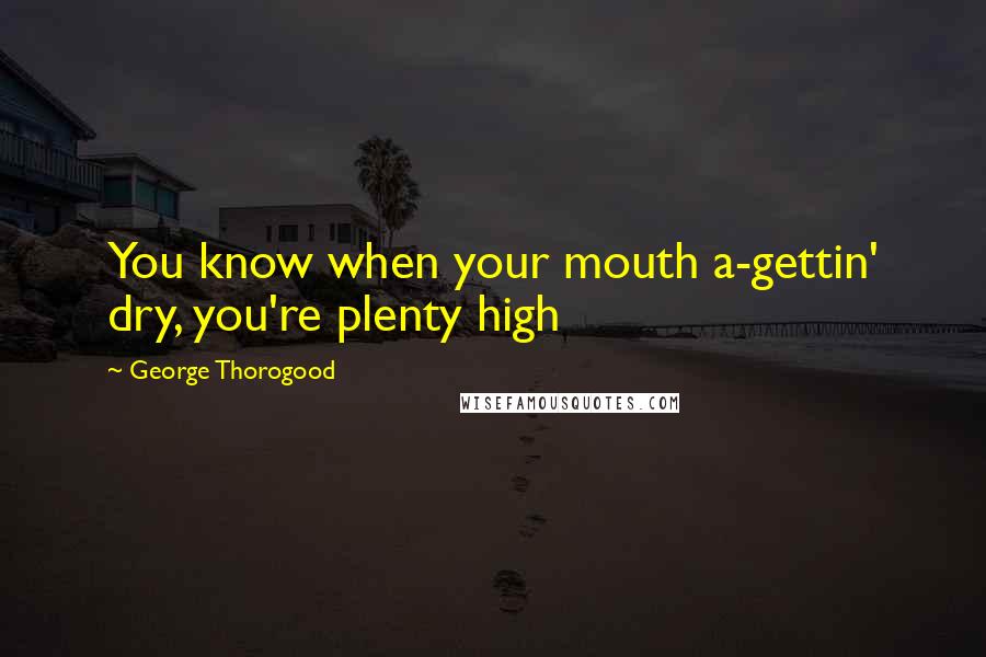 George Thorogood Quotes: You know when your mouth a-gettin' dry, you're plenty high