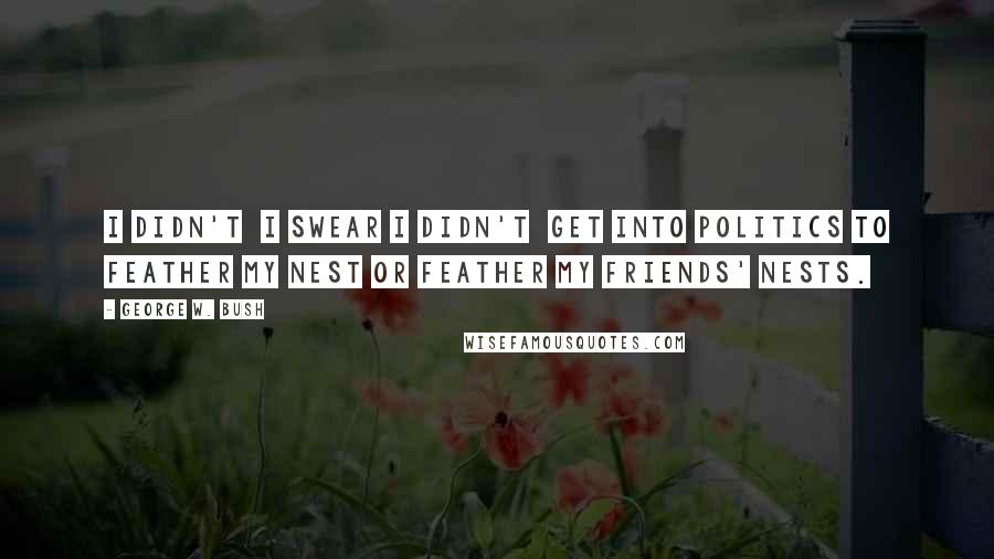 George W. Bush Quotes: I didn't I swear I didn't get into politics to feather my nest or feather my friends' nests.