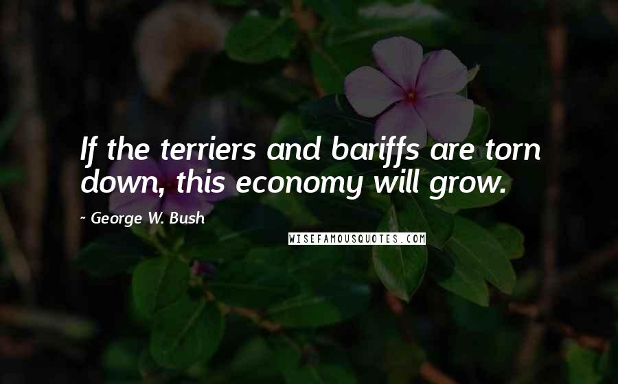George W. Bush Quotes: If the terriers and bariffs are torn down, this economy will grow.