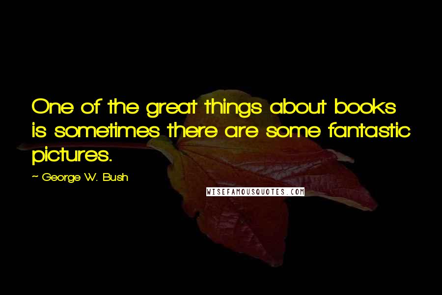 George W. Bush Quotes: One of the great things about books is sometimes there are some fantastic pictures.