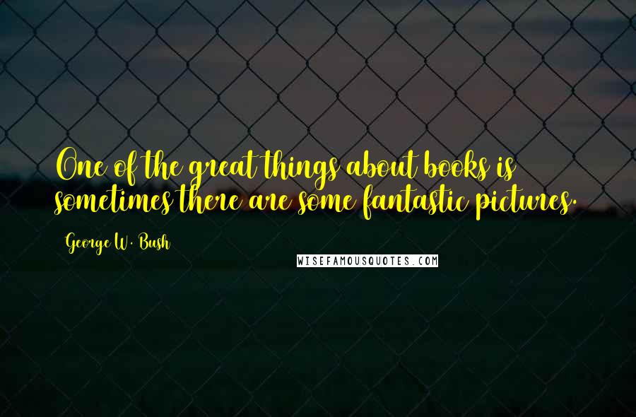 George W. Bush Quotes: One of the great things about books is sometimes there are some fantastic pictures.