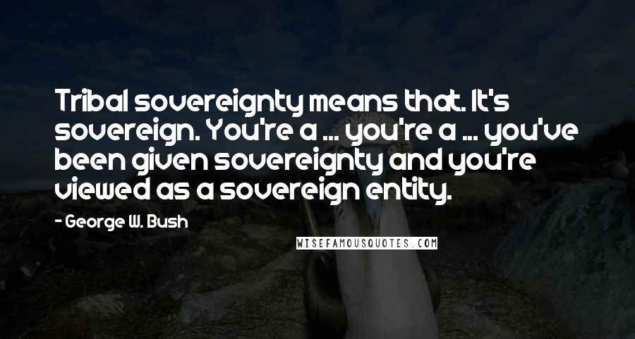 George W. Bush Quotes: Tribal sovereignty means that. It's sovereign. You're a ... you're a ... you've been given sovereignty and you're viewed as a sovereign entity.