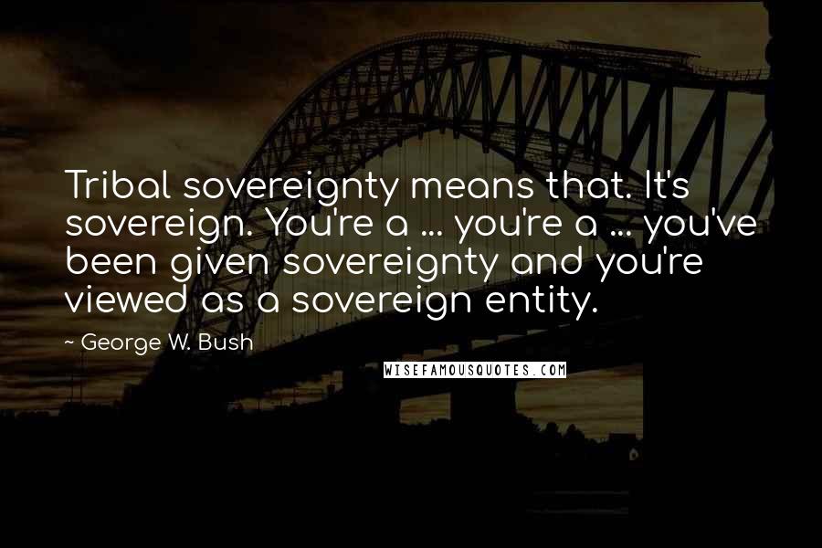 George W. Bush Quotes: Tribal sovereignty means that. It's sovereign. You're a ... you're a ... you've been given sovereignty and you're viewed as a sovereign entity.