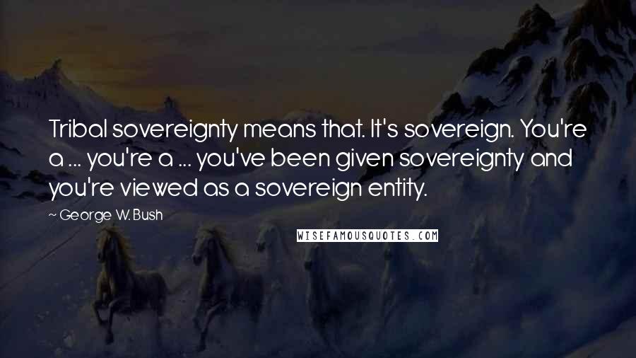 George W. Bush Quotes: Tribal sovereignty means that. It's sovereign. You're a ... you're a ... you've been given sovereignty and you're viewed as a sovereign entity.