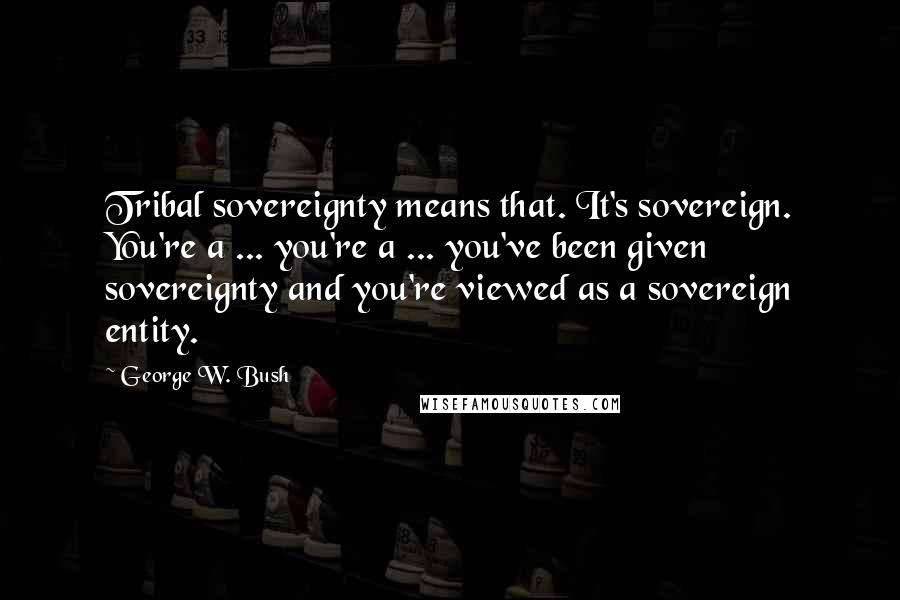 George W. Bush Quotes: Tribal sovereignty means that. It's sovereign. You're a ... you're a ... you've been given sovereignty and you're viewed as a sovereign entity.