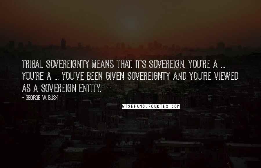 George W. Bush Quotes: Tribal sovereignty means that. It's sovereign. You're a ... you're a ... you've been given sovereignty and you're viewed as a sovereign entity.