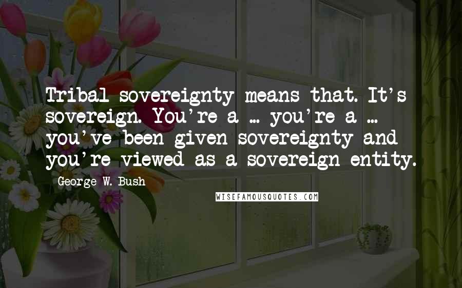 George W. Bush Quotes: Tribal sovereignty means that. It's sovereign. You're a ... you're a ... you've been given sovereignty and you're viewed as a sovereign entity.