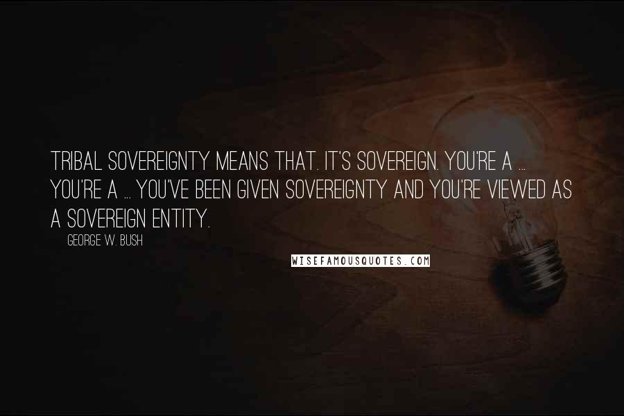 George W. Bush Quotes: Tribal sovereignty means that. It's sovereign. You're a ... you're a ... you've been given sovereignty and you're viewed as a sovereign entity.
