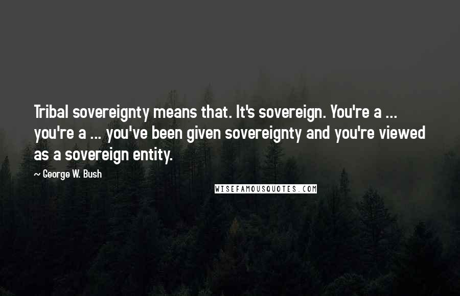 George W. Bush Quotes: Tribal sovereignty means that. It's sovereign. You're a ... you're a ... you've been given sovereignty and you're viewed as a sovereign entity.