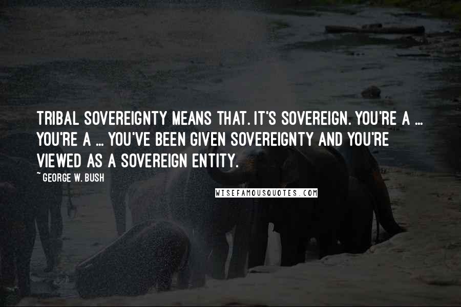 George W. Bush Quotes: Tribal sovereignty means that. It's sovereign. You're a ... you're a ... you've been given sovereignty and you're viewed as a sovereign entity.