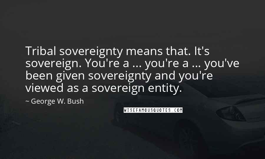 George W. Bush Quotes: Tribal sovereignty means that. It's sovereign. You're a ... you're a ... you've been given sovereignty and you're viewed as a sovereign entity.
