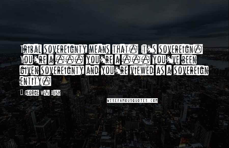 George W. Bush Quotes: Tribal sovereignty means that. It's sovereign. You're a ... you're a ... you've been given sovereignty and you're viewed as a sovereign entity.