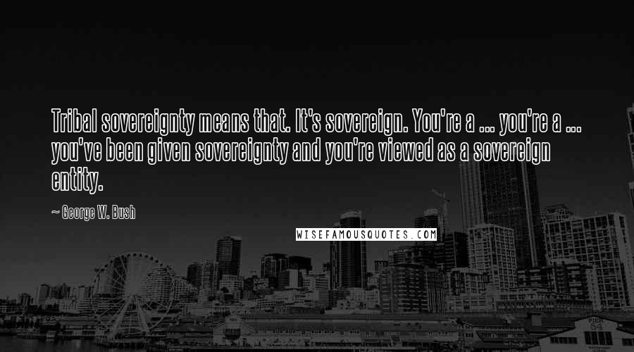 George W. Bush Quotes: Tribal sovereignty means that. It's sovereign. You're a ... you're a ... you've been given sovereignty and you're viewed as a sovereign entity.