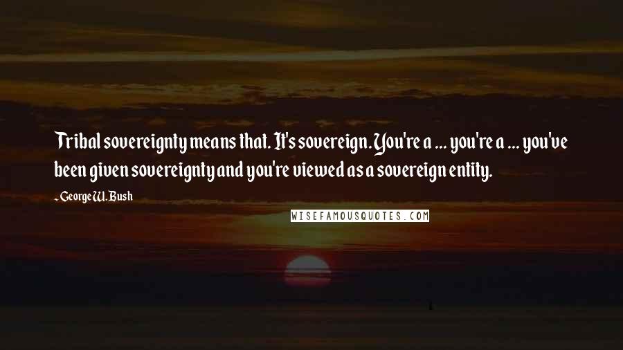 George W. Bush Quotes: Tribal sovereignty means that. It's sovereign. You're a ... you're a ... you've been given sovereignty and you're viewed as a sovereign entity.