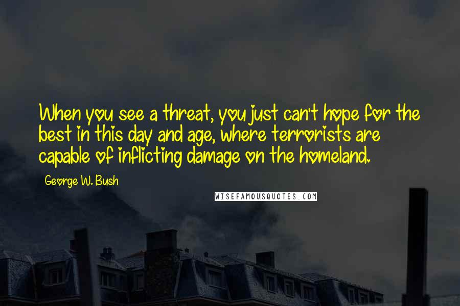 George W. Bush Quotes: When you see a threat, you just can't hope for the best in this day and age, where terrorists are capable of inflicting damage on the homeland.