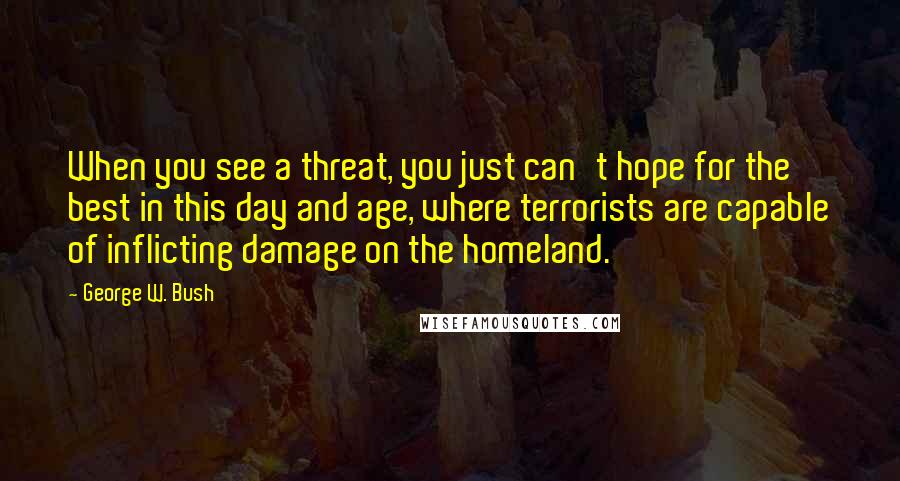 George W. Bush Quotes: When you see a threat, you just can't hope for the best in this day and age, where terrorists are capable of inflicting damage on the homeland.