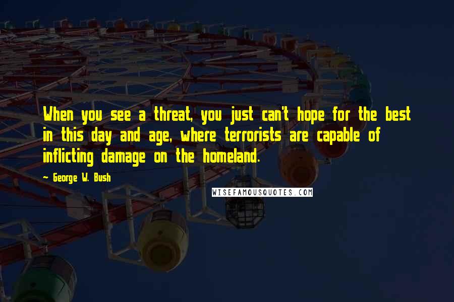 George W. Bush Quotes: When you see a threat, you just can't hope for the best in this day and age, where terrorists are capable of inflicting damage on the homeland.