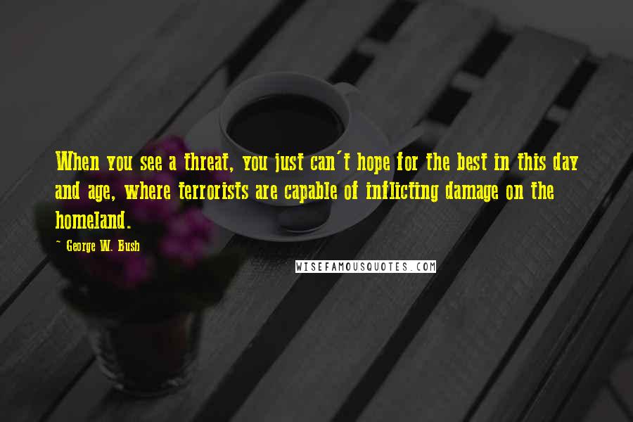 George W. Bush Quotes: When you see a threat, you just can't hope for the best in this day and age, where terrorists are capable of inflicting damage on the homeland.