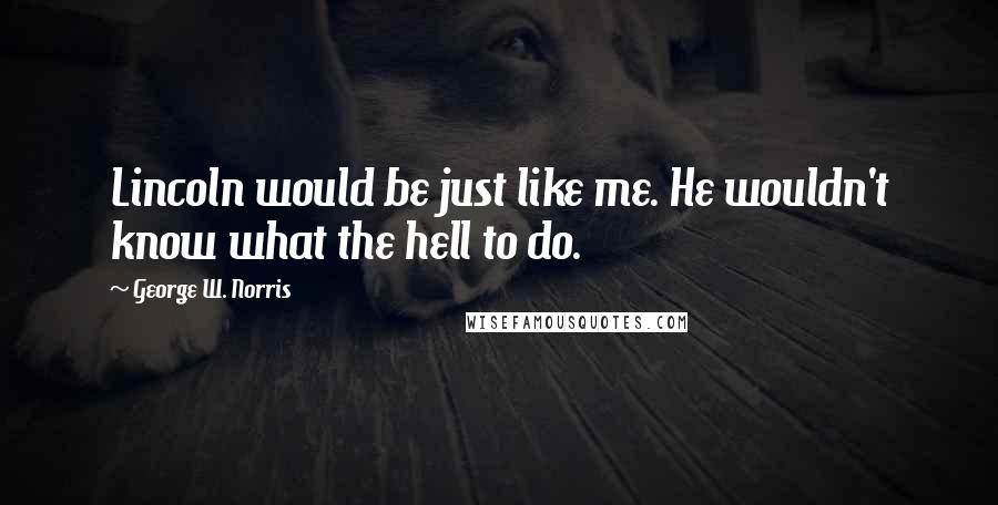 George W. Norris Quotes: Lincoln would be just like me. He wouldn't know what the hell to do.