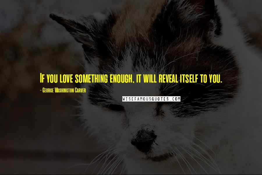 George Washington Carver Quotes: If you love something enough, it will reveal itself to you.
