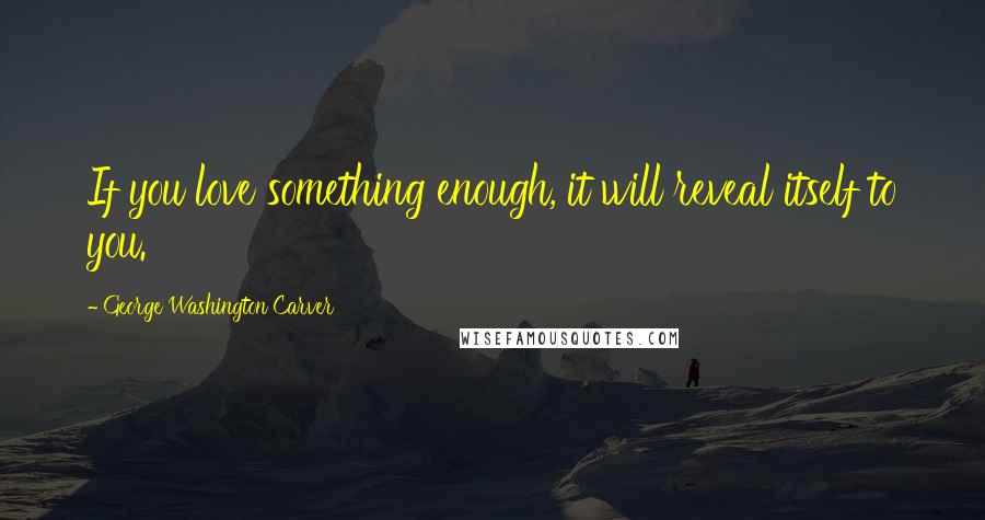 George Washington Carver Quotes: If you love something enough, it will reveal itself to you.