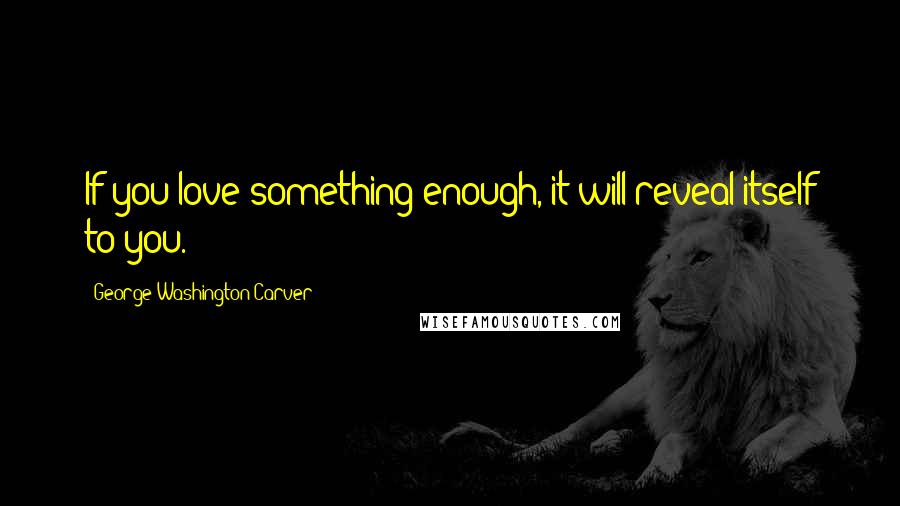 George Washington Carver Quotes: If you love something enough, it will reveal itself to you.