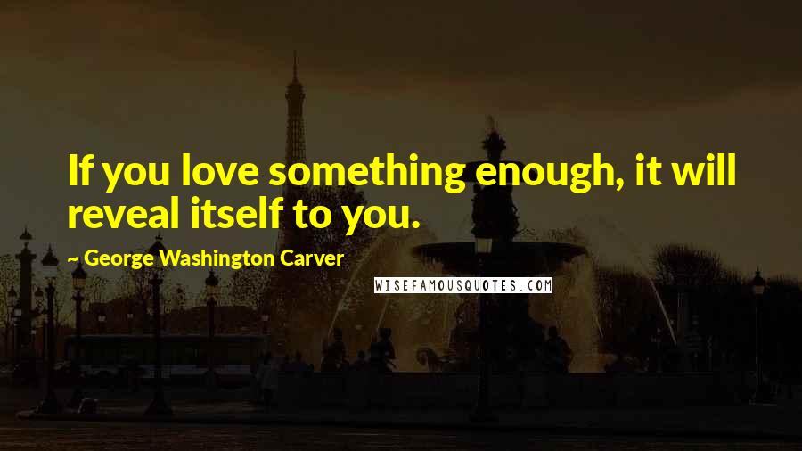 George Washington Carver Quotes: If you love something enough, it will reveal itself to you.