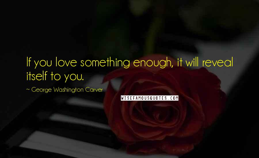 George Washington Carver Quotes: If you love something enough, it will reveal itself to you.