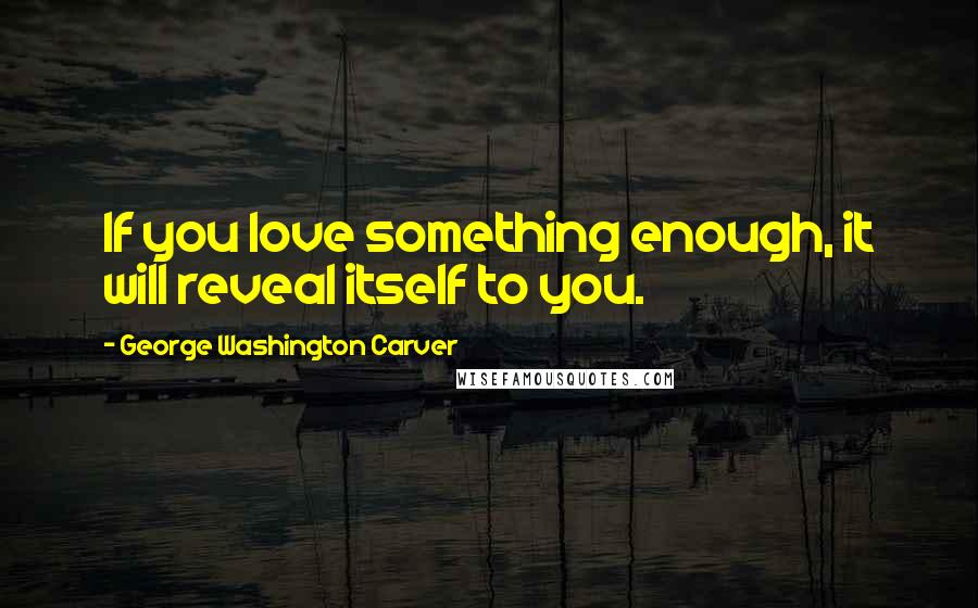 George Washington Carver Quotes: If you love something enough, it will reveal itself to you.