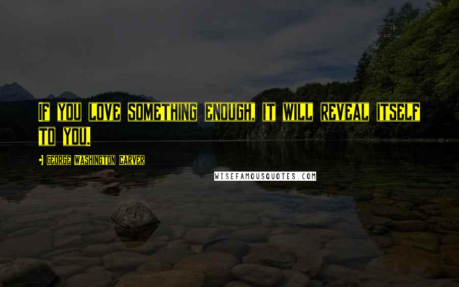 George Washington Carver Quotes: If you love something enough, it will reveal itself to you.