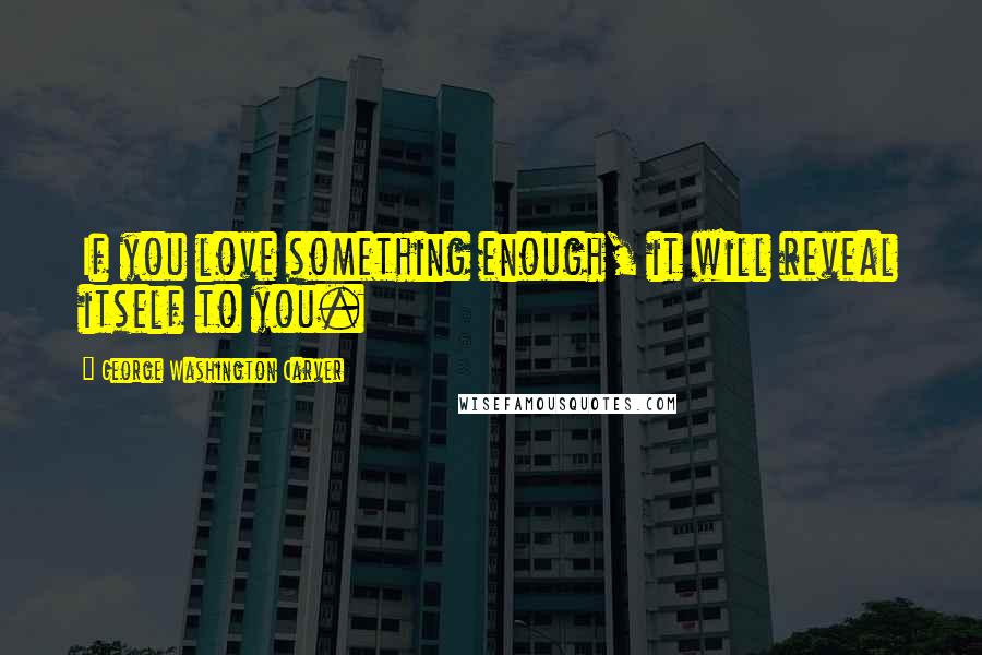 George Washington Carver Quotes: If you love something enough, it will reveal itself to you.