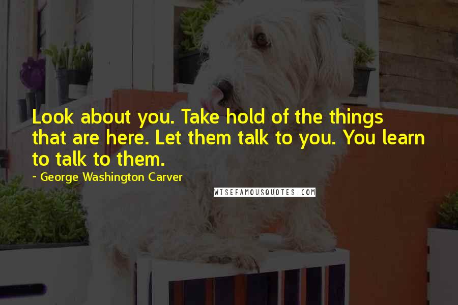 George Washington Carver Quotes: Look about you. Take hold of the things that are here. Let them talk to you. You learn to talk to them.