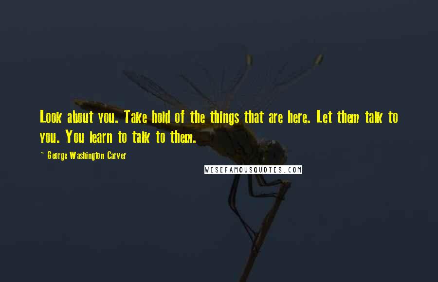 George Washington Carver Quotes: Look about you. Take hold of the things that are here. Let them talk to you. You learn to talk to them.