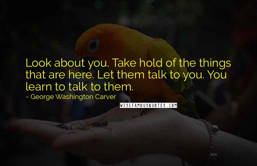 George Washington Carver Quotes: Look about you. Take hold of the things that are here. Let them talk to you. You learn to talk to them.