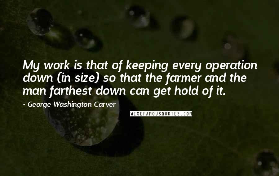 George Washington Carver Quotes: My work is that of keeping every operation down (in size) so that the farmer and the man farthest down can get hold of it.