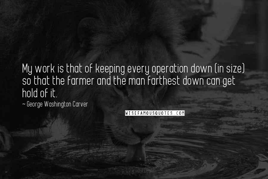 George Washington Carver Quotes: My work is that of keeping every operation down (in size) so that the farmer and the man farthest down can get hold of it.