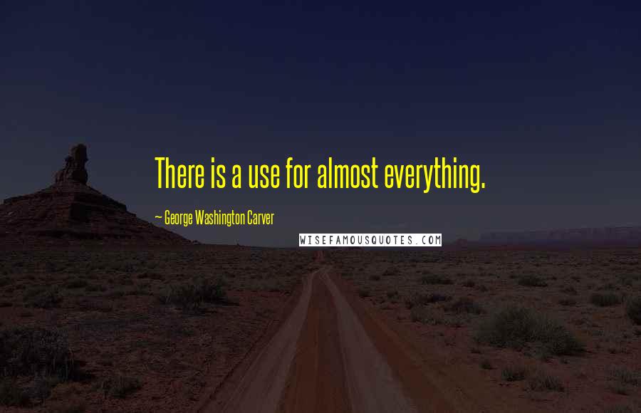 George Washington Carver Quotes: There is a use for almost everything.