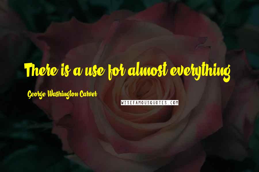 George Washington Carver Quotes: There is a use for almost everything.