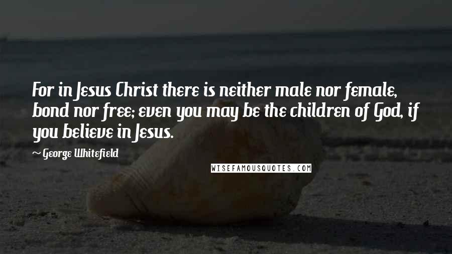 George Whitefield Quotes: For in Jesus Christ there is neither male nor female, bond nor free; even you may be the children of God, if you believe in Jesus.