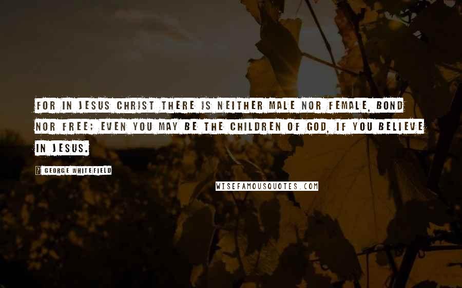 George Whitefield Quotes: For in Jesus Christ there is neither male nor female, bond nor free; even you may be the children of God, if you believe in Jesus.