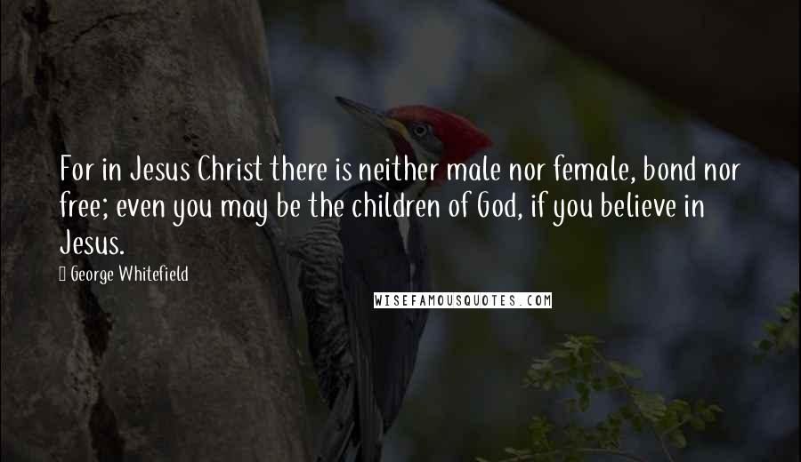 George Whitefield Quotes: For in Jesus Christ there is neither male nor female, bond nor free; even you may be the children of God, if you believe in Jesus.