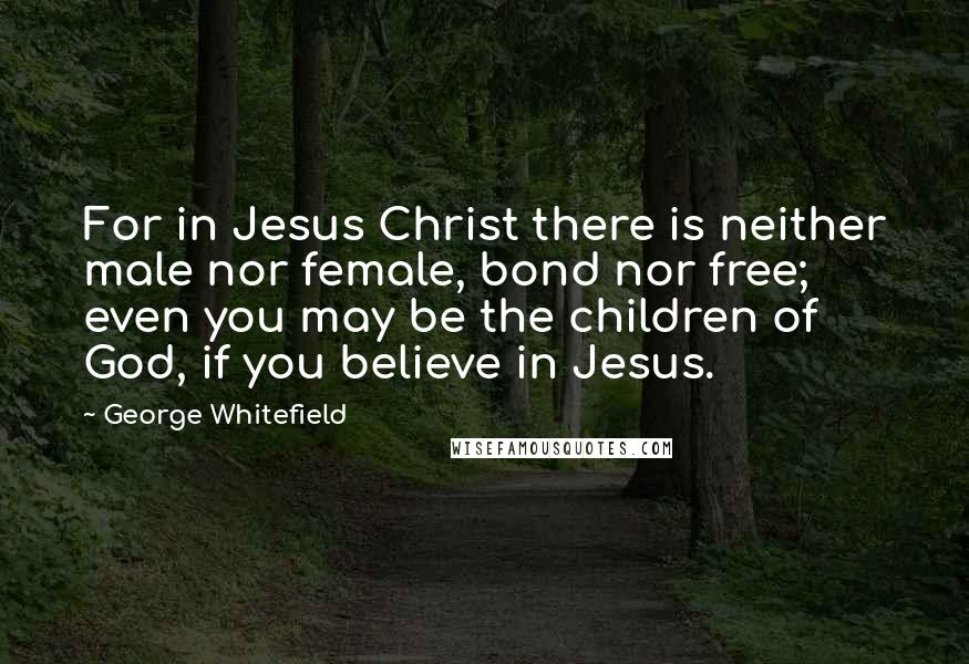 George Whitefield Quotes: For in Jesus Christ there is neither male nor female, bond nor free; even you may be the children of God, if you believe in Jesus.