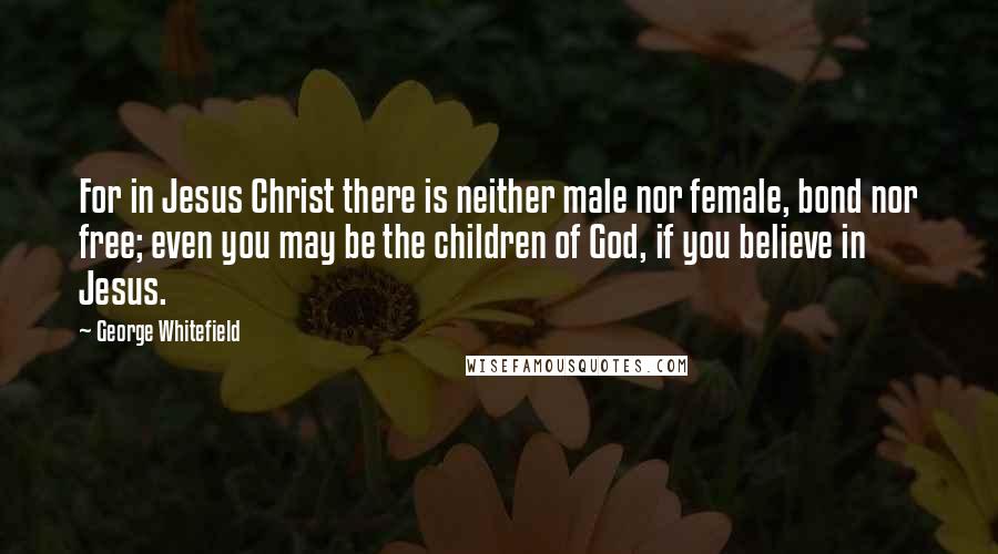 George Whitefield Quotes: For in Jesus Christ there is neither male nor female, bond nor free; even you may be the children of God, if you believe in Jesus.